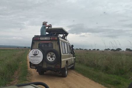 5-Day Private Tour in Mikumi National Park and Udzungwa Mountain