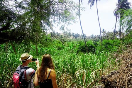 Cape Verde: Best trails of Santiago and Fogo islands
