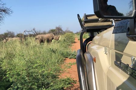 Safari Game Drive: Dinokeng Game Reserve
