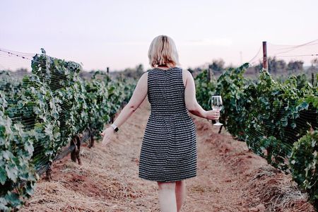 Private Oyster and Wine Tasting Day Trip along Peljesac 