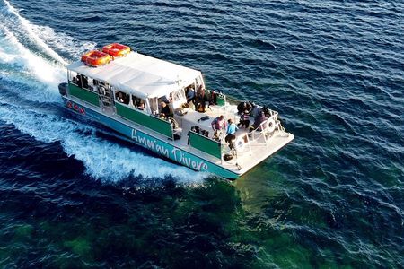 Half-Day Small-Group 2-Tank Scuba Dive in Key Largo (CERTIFIED DIVERS ONLY)