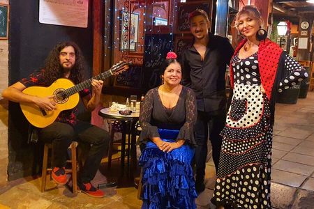 The Ultimate Flamenco Experience(class, tapas, show with artist)