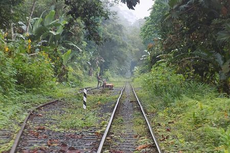 San Cipriano Natural Reserve Full Day Adventure