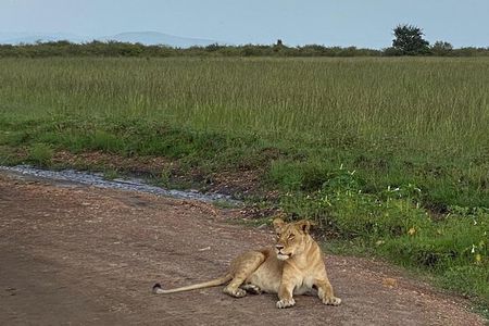 Nairobi national park and Giraffe center