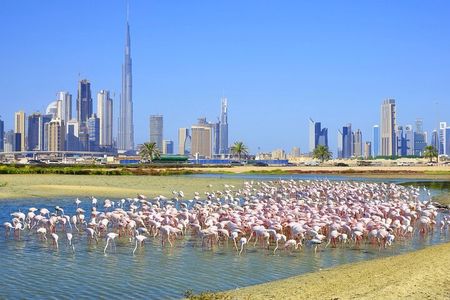 Charming Dubai City Tour with The View at The Palm - Scenic Tourist Attraction
