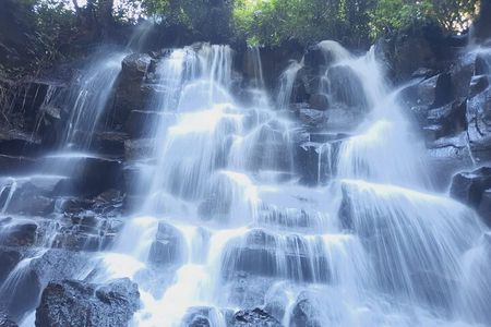 Trekking and Tegallalang Rice Terace Field Including Cascade Waterfall Tour