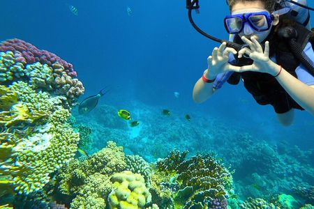 Learn to Scuba Dive with a Professional Instructor in Key Largo