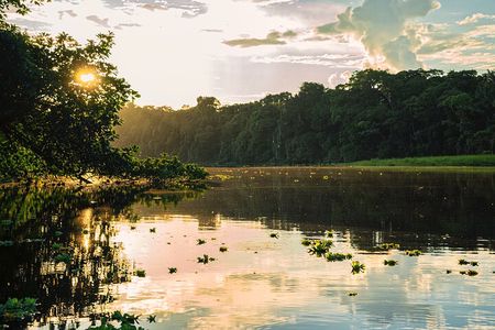 Adventure in the Amazon Jungle 5D/4N at Amazon Mamori lodge 