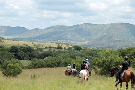 Harties Horse Trail Safari Half day