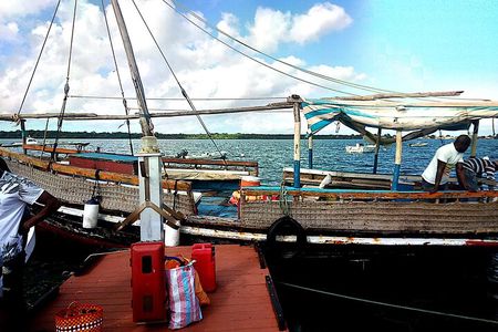1 day trip to Funzi island