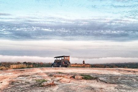 Kruger National Park Sunrise Half-Day Safari Tour