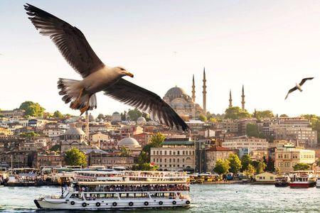 Istanbul Bosphorus Boat Tour and Golden Horn Cruise Day or Sunset