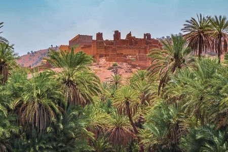 Tardoudant Tiout Oases Explore