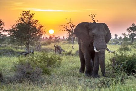 3 Day Kruger National Park Safari & Panorama Route 