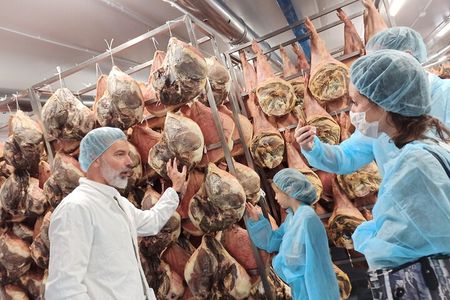 Small-Group Prosciutto Factory 4-Hour Tasting Tour in Bologna