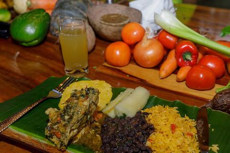 Cooking Class and Medical Plants Garden