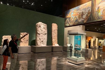Visit the Anthopology Museum with an expert 