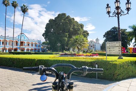 Biking to The Ancient Tule Tree