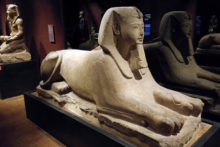 Turin: Egyptian Museum & city tour guided experience