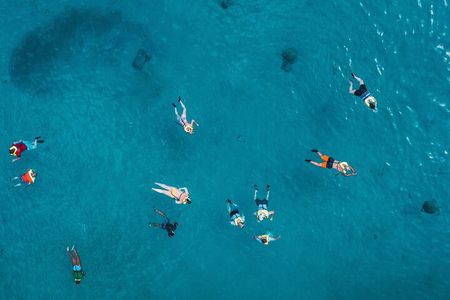 Waikiki: 2 hours - Turtle Canyon Snorkeling Adventure