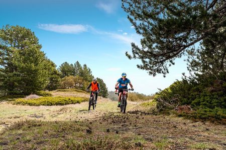 Etna in MTB Half day small group