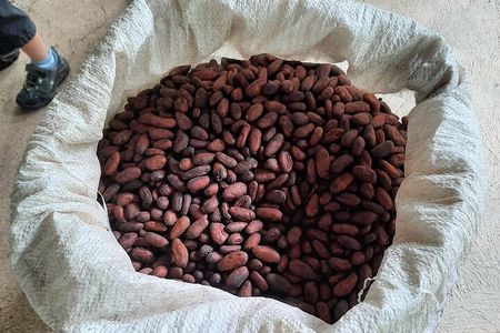 Don Olivo Chocolate Tour