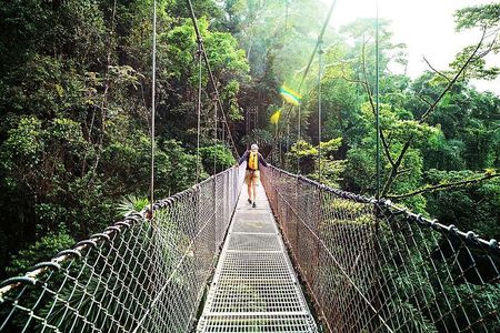 Combo: Day Trip to Hanging Bridges + ZipLine in Monteverde