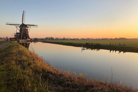 Customizable private tour windmills, clogs & cheese and more..
