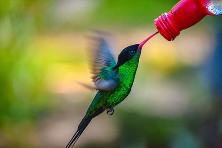 Rockland Bird Sanctuary Private Tour 