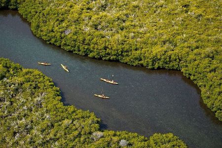 2 Hours of Kayak Safari in Bahía de La Paz