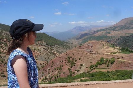 Atlas Mountains and Camel Ride day trip