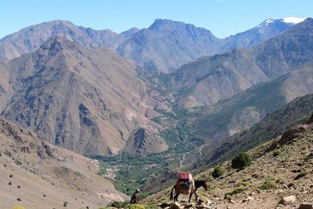 Mount Toubkal Trek-2 day