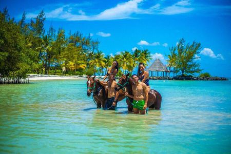  Swimming with Horses at the Beach from Punta Cana Free transportation