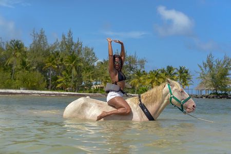  Swimming with Horses at the Beach from Punta Cana Free transportation