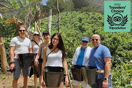 Full-Day Private Guatape Coffee Villa Tour from Medellin