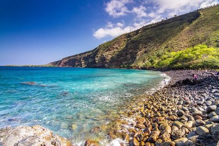Kealakekua Bay and Captain Cook Monument Snorkel - Small-Group Experience