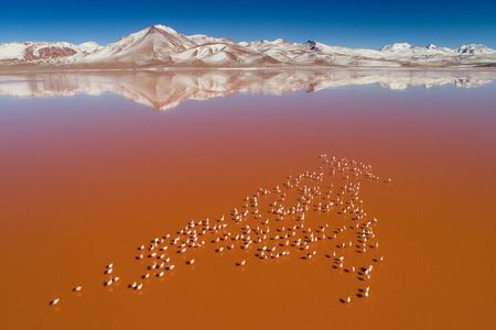 3-Days Tour to the Uyuni Salt Flat and Colored Lagoons +Sunset+Mirror Effect