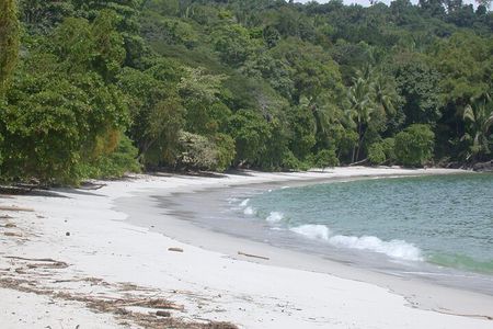 Manuel Antonio National Park Full-Day Adventure from San Jose