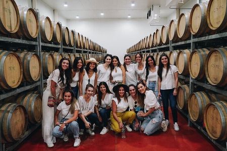 Full Day Visit to Vineyard and Premium Tasting in San Miguel