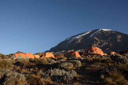 7-Day Kilimanjaro Hiking Tour via Machame Route
