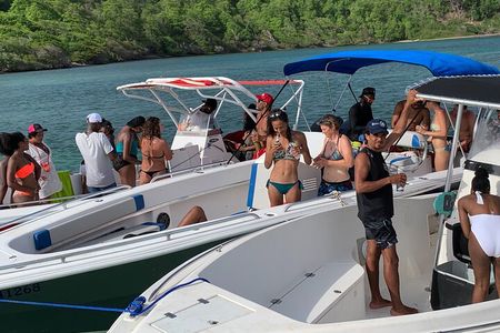 Day Trip by Boat from Le Robert