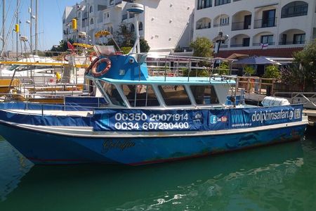 Dolphin Watching in Gibraltar with Dolphin Safari
