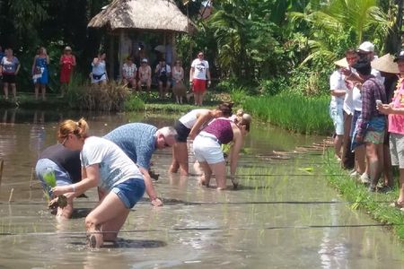 Private Balinese Village and Tanah Lot Temple Cultural Tour