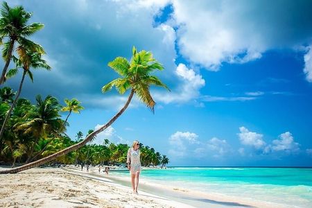 Catalina Island and Bayahibe Snorkel Tour