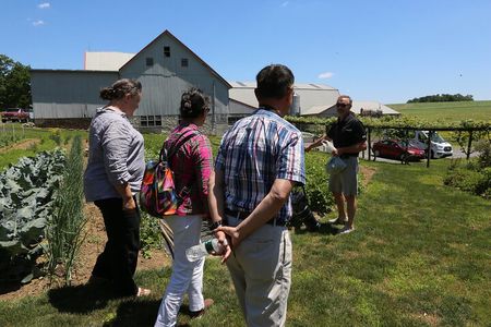 Authentic Tour & Meal with the Amish!