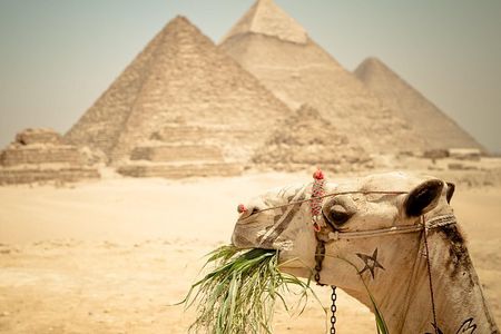 3-Day Egypt Tour Package: Cairo to Alexandria
