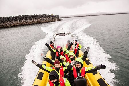 Whale Watching by RIB Speedboat from Downtown Reykjavik