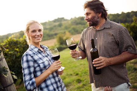 Full-Day Group Wine Tour (with cheese and charcuterie) in Niagara-on-the-Lake