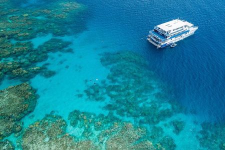 2-Day Snorkelling Experience - Great Barrier Reef Twin Share