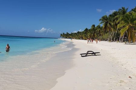 Saona Island + Natural Pool: Double Dose of Paradise in One Day!